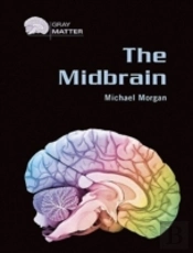 The Midbrain