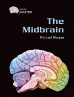Bertrand.pt - The Midbrain