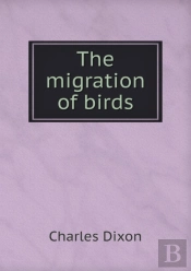 The Migration Of Birds