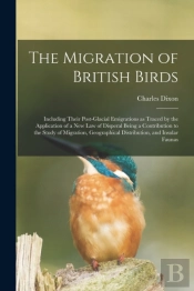 The Migration Of British Birds