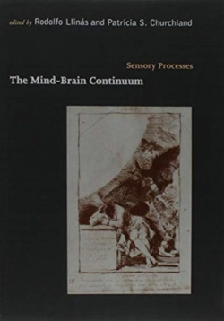 Bertrand.pt - The Mind-Brain Continuum