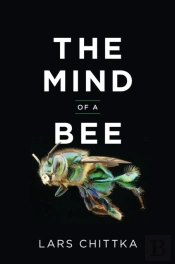 The Mind Of A Bee
