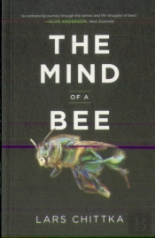 The Mind Of A Bee