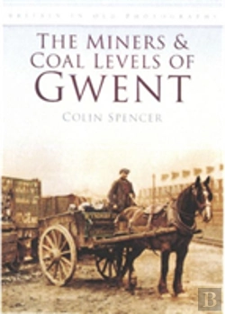 Bertrand.pt - The Miners And Coal Levels Of Gwent