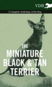 The Miniature Black And Tan Terrier - A Complete Anthology Of The Dog