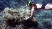 The Minoan Shipwreck At Pseira, Crete