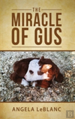 Bertrand.pt - The Miracle Of Gus