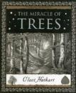 The Miracle Of Trees