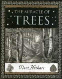 Bertrand.pt - The Miracle Of Trees