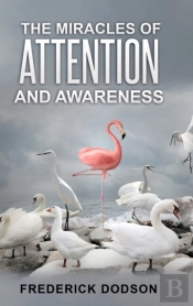 The Miracles Of Attention And Awareness