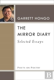 The Mirror Diary