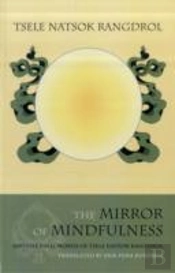 The Mirror Of Mindfulness
