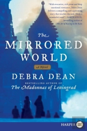 The Mirrored World