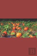 The Misadventures Of Ggg And The Pumpkin-Headed Boy