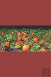 The Misadventures Of Ggg And The Pumpkin-Headed Boy