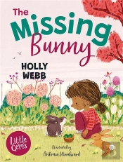 The Missing Bunny
