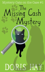 The Missing Cash Mystery