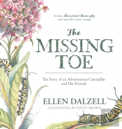 The Missing Toe