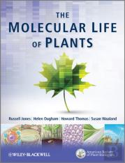 The Molecular Life Of Plants