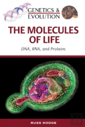 The Molecules Of Life