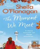 The Moment We Meet