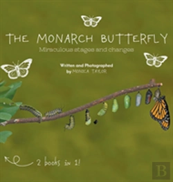 Bertrand.pt - The Monarch Butterfly And The Cecropia Moth