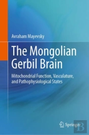 The Mongolian Gerbil Brain