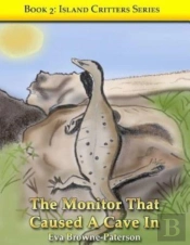 The Monitor That Caused A Cave In
