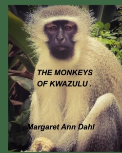 Bertrand.pt - The Monkeys Of Kwazulu