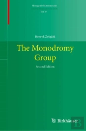 The Monodromy Group