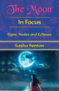 The Moon: In Focus