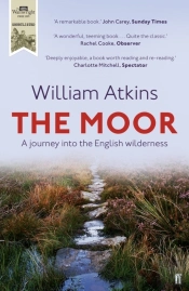 The Moor