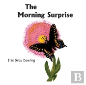 The Morning Surprise