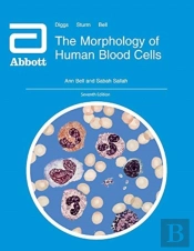 The Morphology Of Human Blood Cells