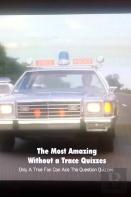 The Most Amazing Without A Trace Quizzes