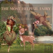The Most Helpful Fairy