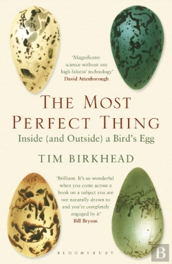 Bertrand.pt - The Most Perfect Thing