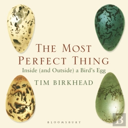 Bertrand.pt - The Most Perfect Thing