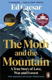 The Moth And The Mountain