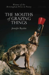 The Mouths Of Grazing Things