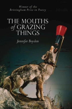 Bertrand.pt - The Mouths Of Grazing Things