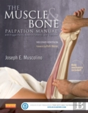 The Muscle And Bone Palpation Manual With Trigger Points, Referral Patterns And Stretching