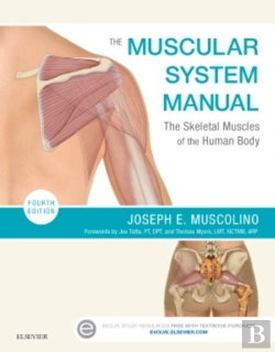Bertrand.pt - The Muscular System Manual