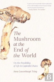 The Mushroom At The End Of The World