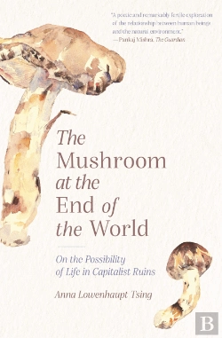 Bertrand.pt - The Mushroom At The End Of The World
