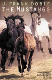 The Mustangs