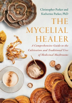 Bertrand.pt - The Mycelial Healer