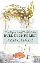The Mysterious World Of The Bull Kelp Forest