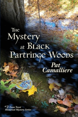 Bertrand.pt - The Mystery At Black Partridge Woods