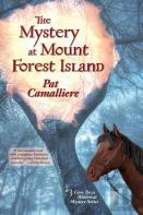 The Mystery At Mount Forest Island